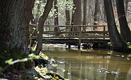 Circular trail Großer Treppelsee, Foto: Constanze Mikeska