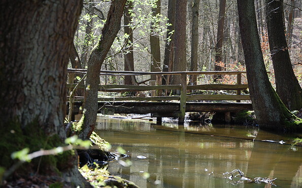 Circular trail Großer Treppelsee, Foto: Constanze Mikeska