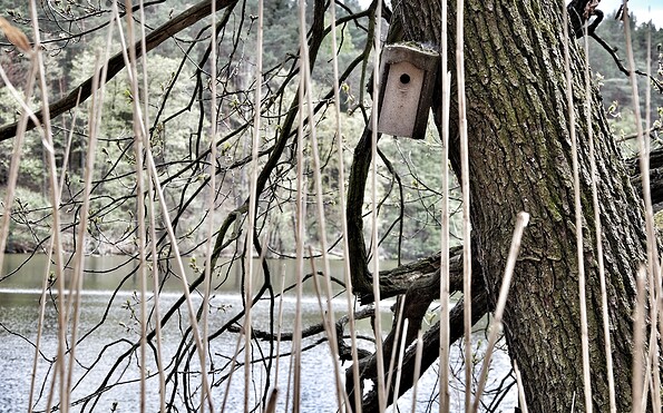 Circular trail Großer Treppelsee, Foto: Constanze Mikeska