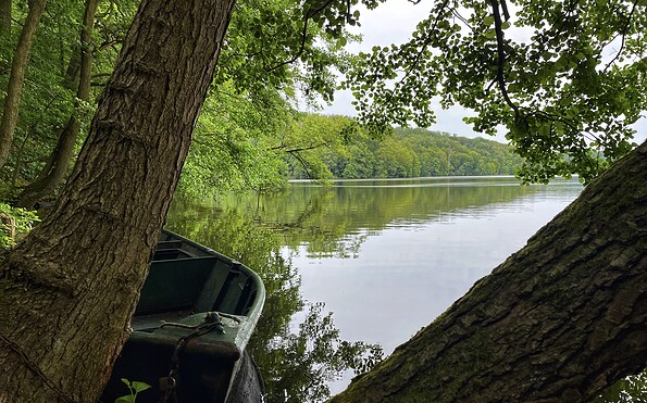 Circular trail Großer Treppelsee, Foto: Constanze Mikeska