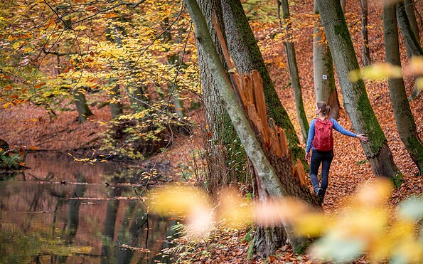 Schlaubetal Nature Park, Foto: Florian Läufer, Lizenz: Seenland Oder-Spree