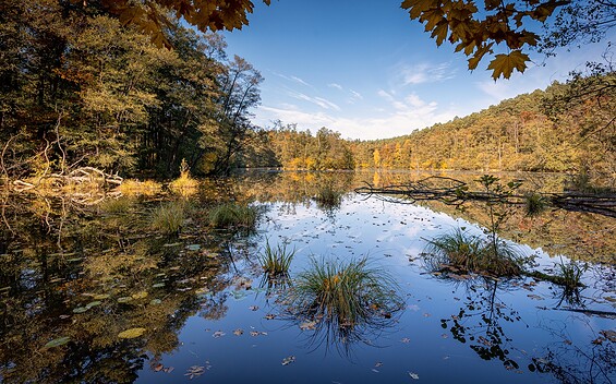 Schlaubetal Nature Park, Foto: Florian Läufer, Lizenz: Seenland Oder-Spree