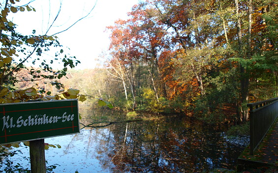 Schinkensee, Foto: Sophie-Helen Schulze