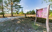 Birdwatching in the Reicherskreuz Heath , Foto: Seenlandentdecker
