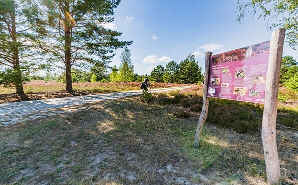 Birdwatching in the Reicherskreuz Heath , Foto: Seenlandentdecker