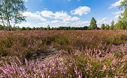Birdwatching in the Reicherskreuz Heath , Foto: Seendlandentdecker