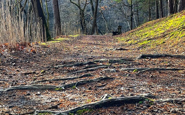 Circular hiking trail Kupferhammer-Siehdichum, Foto: Constanze Mikeska