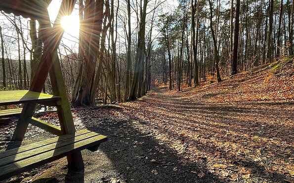 Circular hiking trail Kupferhammer-Siehdichum, Foto: Constanze Mikeska