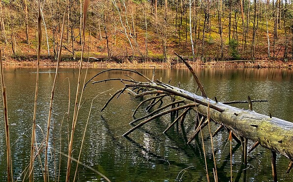 Circular hiking trail Kupferhammer-Siehdichum, Foto: Constanze Mikeska