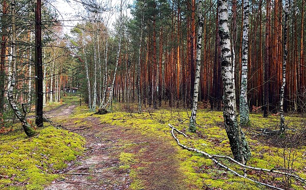 Circular hiking trail Kupferhammer-Siehdichum, Foto: Constanze Mikeska