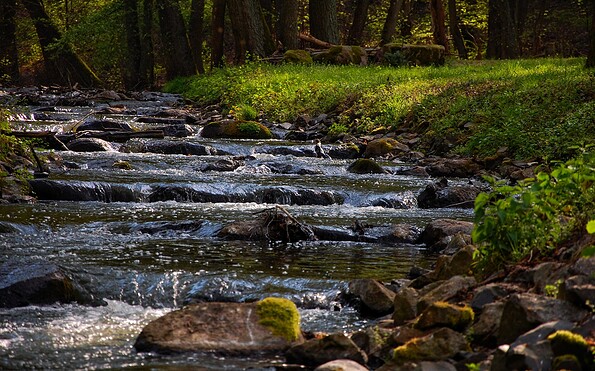 Circular hiking trail Kupferhammer-Siehdichum, Foto: Constanze Mikeska
