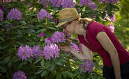 Blumen im Park Bomsdorf, Foto: Florian Läufer