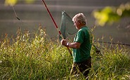Treppelsee, hohes Gras, Foto: Florian Läufer