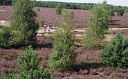 boulder and field stone park Henzendorf, Foto: Besucherinformation Amt Neuzelle