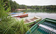 Schervenzsee, Foto: Florian Läufer, Lizenz: Seenland Oder-Spree