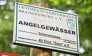 Schervenzsee, Foto: Florian Läufer, Lizenz: Seenland Oder-Spree