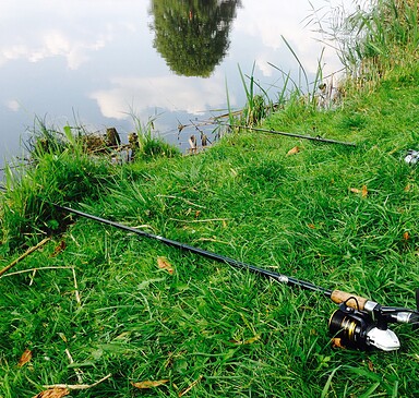 Fischereibetrieb Weidner (fishery)