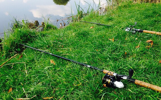 fishing, Foto: Ellen Rußig, Lizenz: Seenland Oder-Spree