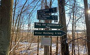 Winterwanderung Weg der Auenblicke, Foto: Alena Lampe