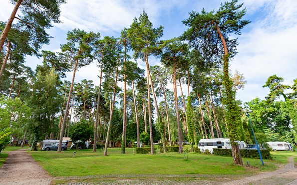 Stellplätze, Foto: S. Lindner, Lizenz: Tourismusverband Prignitz e.V.