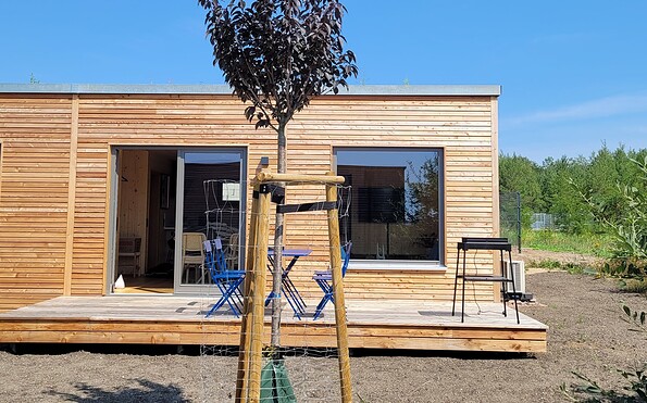 Außenansicht, Foto: Ferienhaus MACKS am Bergheider See, Lizenz: Ferienhaus MACKS am Bergheider See
