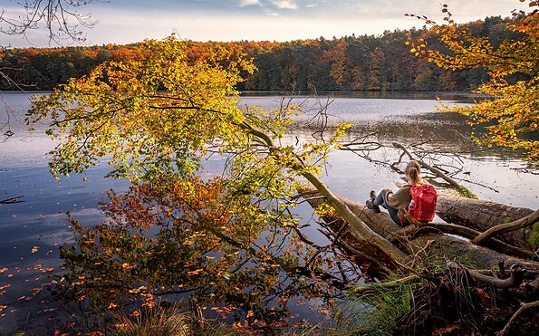 Schlaubetal Hiking Trail, Foto: Florian Läufer, Lizenz: Seenland Oder-Spree