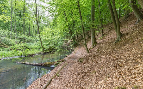 Schlaubetal Hiking Trail, Foto: TMB-Fotoarchiv/Steffen Lehmann, Lizenz: Tourismus-Marketing Brandenburg GmbH