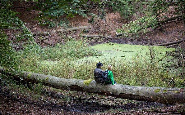 Nature park Schlaubetal, Foto: Florian Läufer, Lizenz: Seenland Oder-Spree