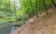 Schlaubetal Hiking Trail , Foto: TMB-Fotoarchiv/Steffen Lehmann, Lizenz: Tourismus-Marketing Brandenburg GmbH