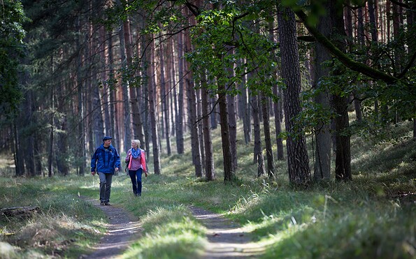 Schlaubetal Hiking Trail , Foto: Florian Läufer, Lizenz: Seenland Oder-Spree