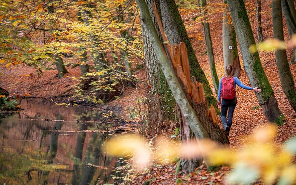 Schlaubetal Hiking Trail , Foto: Florian Läufer, Lizenz: Seenland Oder-Spree