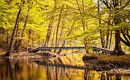 Däbersee in Waldsieversdorf, Foto: Florian Läufer, Lizenz: Seenland Oder-Spree