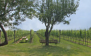 Weingut Patke, Foto: Weingut Patke