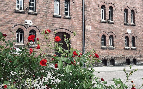 Rundweg Großer Müllroser See - circular hiking trail, Foto: Constanze Mikeska