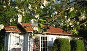 Bungalow Uwe u. Gerdi Clasen - Außenansicht, , Foto: Clasen, Lizenz: Clasen