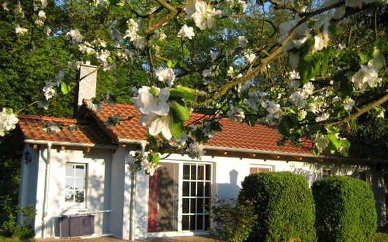 Bungalow Uwe u. Gerdi Clasen - Außenansicht, , Foto: Clasen, Lizenz: Clasen