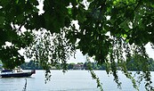 Blick über den Klein Köriser See nach Klein Köris, Foto: Sandra Fonarob, Lizenz: Tourismusverband Dahme-Seenland e.V.