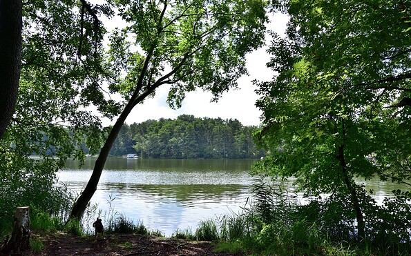 Lake Klein Köris, Foto: Sandra Fonarob, Lizenz: Tourismusverband Dahme-Seenland e.V.