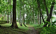 Lake shore path, Foto: Sandra Fonarob, Lizenz: Tourismusverband Dahme-Seenland e.V.