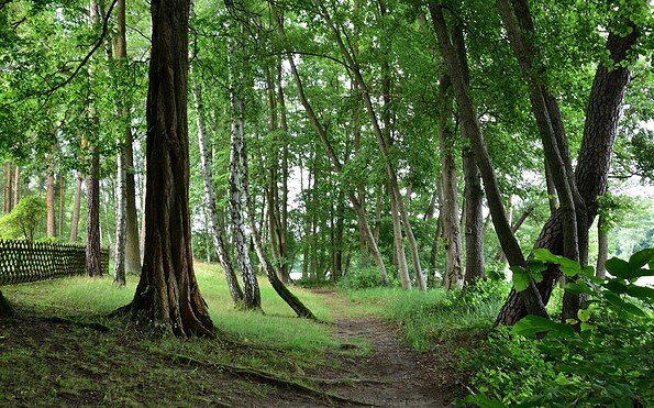 Lake shore path, Foto: Sandra Fonarob, Lizenz: Tourismusverband Dahme-Seenland e.V.