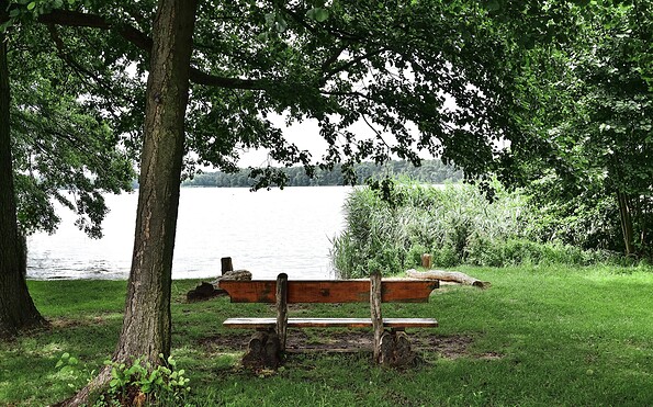 Shore of Lake Klein Köris, Foto: Sandra Fonarob, Lizenz: Tourismusverband Dahme-Seenland e.V.