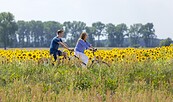 Radler vor einem Sonnenblumenfeld, Foto: LKEE_Andreas Franke, Lizenz: LKEE_Andreas Franke