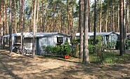 Stellplatz im Wald, Foto: René Jahn, Lizenz: Campingplatz D66 - Am Schmöldesee