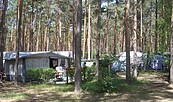 Wohnmobilstellplatz im Grünen, Foto: René Jahn, Lizenz: Campingplatz D66 - Am Schmöldesee