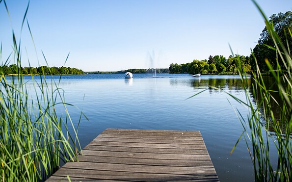 Großer Müllroser See, Foto: TMB-Fotoarchiv/Steffen Lehmann, Lizenz: Tourismus-Marketing Brandenburg GmbH
