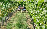Weingut Patke vineyard, Foto: Angelika Laslo, Lizenz: Seenland Oder-Spree