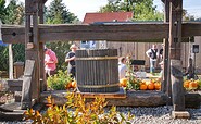 Weingut Patke vineyard, Foto: Angelika Laslo, Lizenz: Seenland Oder-Spree