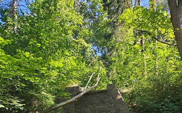 Kaiserrundweg Wasserfall, Foto: Franziska Schwarz, Lizenz: Amt Joachimsthal