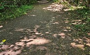 Kaiserrundweg, Weg, Foto: Franziska Schwarz, Lizenz: Amt Joachimsthal