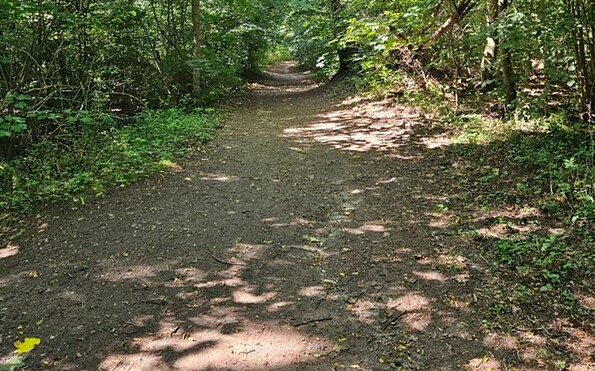 Kaiserrundweg, Weg, Foto: Franziska Schwarz, Lizenz: Amt Joachimsthal